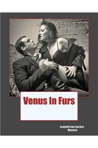 Venus In Furs