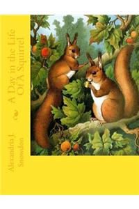 Day in the Life Of A Squirrel