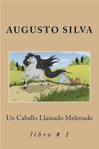Un Caballo Llamado Melenudo
