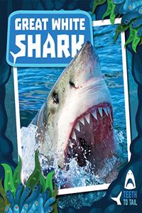 Great White Shark