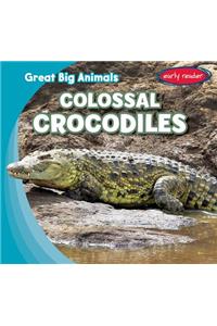 Colossal Crocodiles