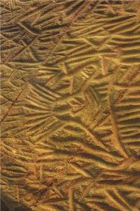 Edakkal Caves Petroglyph in India Journal