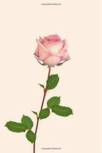 Blush Rose: In the Garden Journal/Notebook/Diary