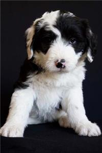 Such a Face! Black and White Baby Sheepdog Puppy Journal