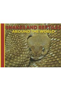 Snakes and Reptiles Around the World