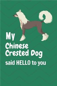 My Chinese Crested Dog said HELLO to you
