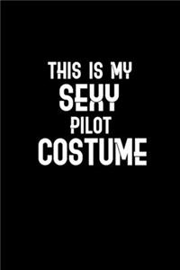 This is my sexy pilot costume