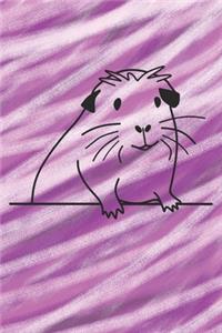 Süßes Meerschweinchen