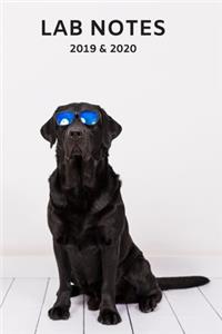 2020 & 2021 Weekly Planner For Labrador Retriever Dog Owner - Funny Lab Notes Pun - Appointment Book Gift - Two-Year Planning Notebook