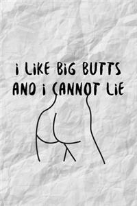 I Like Big Butts And I Cannot Lie