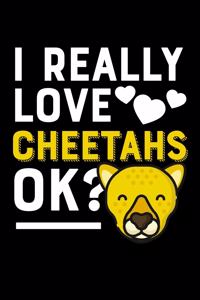 I Really Love Cheetahs, OK?