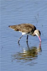 Black-Tailed Godwit Bird Journal (Limosa Limosa): 150 Page Lined Notebook/Diary