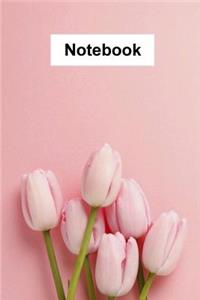 Notebook: 120 Page College Ruled Softcover Journal and Notebook for Writing(6 X 9)