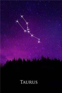 2019 Daily Planner Taurus Constellation Night Sky Astrology Symbol 384 Pages