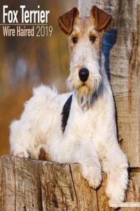 Fox Terrier Wire Haired Calendar 2019