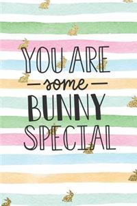 You Are Some Bunny Special