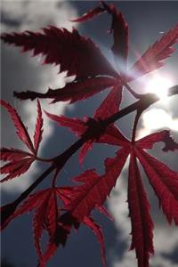 Japanese Maple Leafs and Clouds Journal