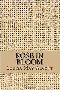Rose in Bloom