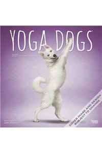 Yoga Dogs 2021 Square
