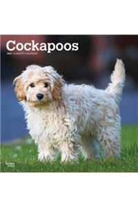 Cockapoos 2021 Square