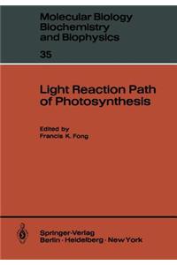 Light Reaction Path of Photosynthesis