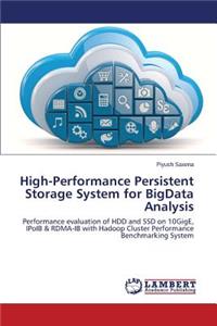 High-Performance Persistent Storage System for BigData Analysis