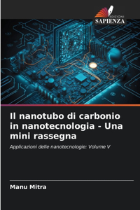 nanotubo di carbonio in nanotecnologia - Una mini rassegna