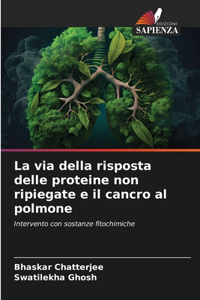 via della risposta delle proteine non ripiegate e il cancro al polmone