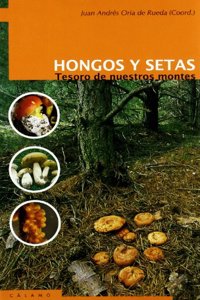 Hongos y setas : tesoros de nuestros montes