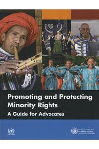 Promoting and Protecting Minority Rights