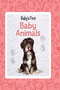 Babys First Animal