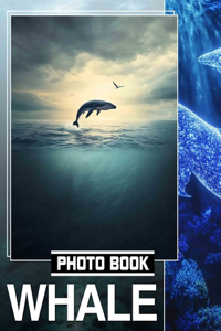 Whale Photo Book
