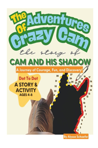 The Adventures of Crazy Cam