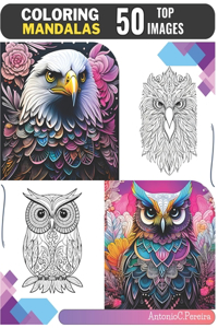 Coloring Mandalas 50 Top Images