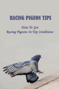 Racing Pigeon Tips