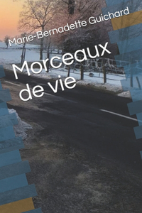 Morceaux de vie