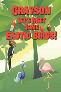 Grayson Let's Meet Some Exotic Birds!