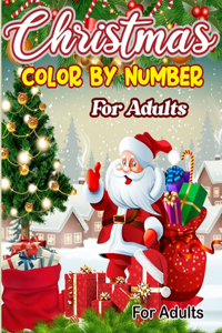 Christmas Color By Number For Adults