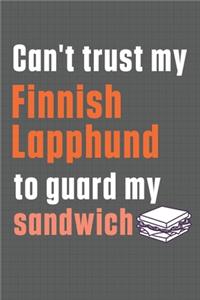 Can't trust my Finnish Lapphund to guard my sandwich
