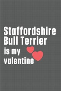 Staffordshire Bull Terrier is my valentine