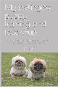 My pekingese puppy training and follow-up