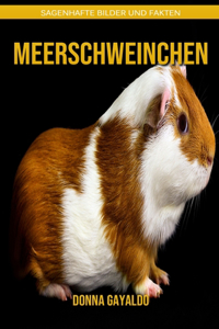 Meerschweinchen