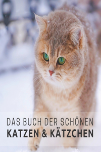 Das Buch der schönen Katzen und Kätzchen