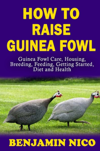 How to Raise Guinea Fowl