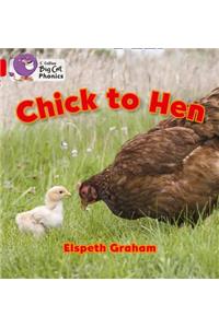 Chick to Hen