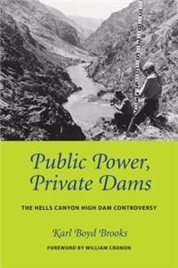 Public Power, Private Dams