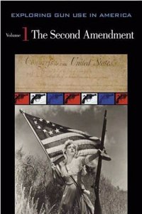 Exploring Gun Use in America, Vol. 1: The Second Amendment