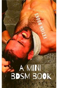 A Mini Bdsm Book