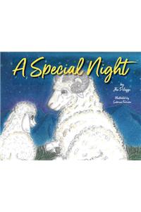 Special Night