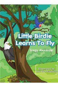 Little Birdie learns to fly